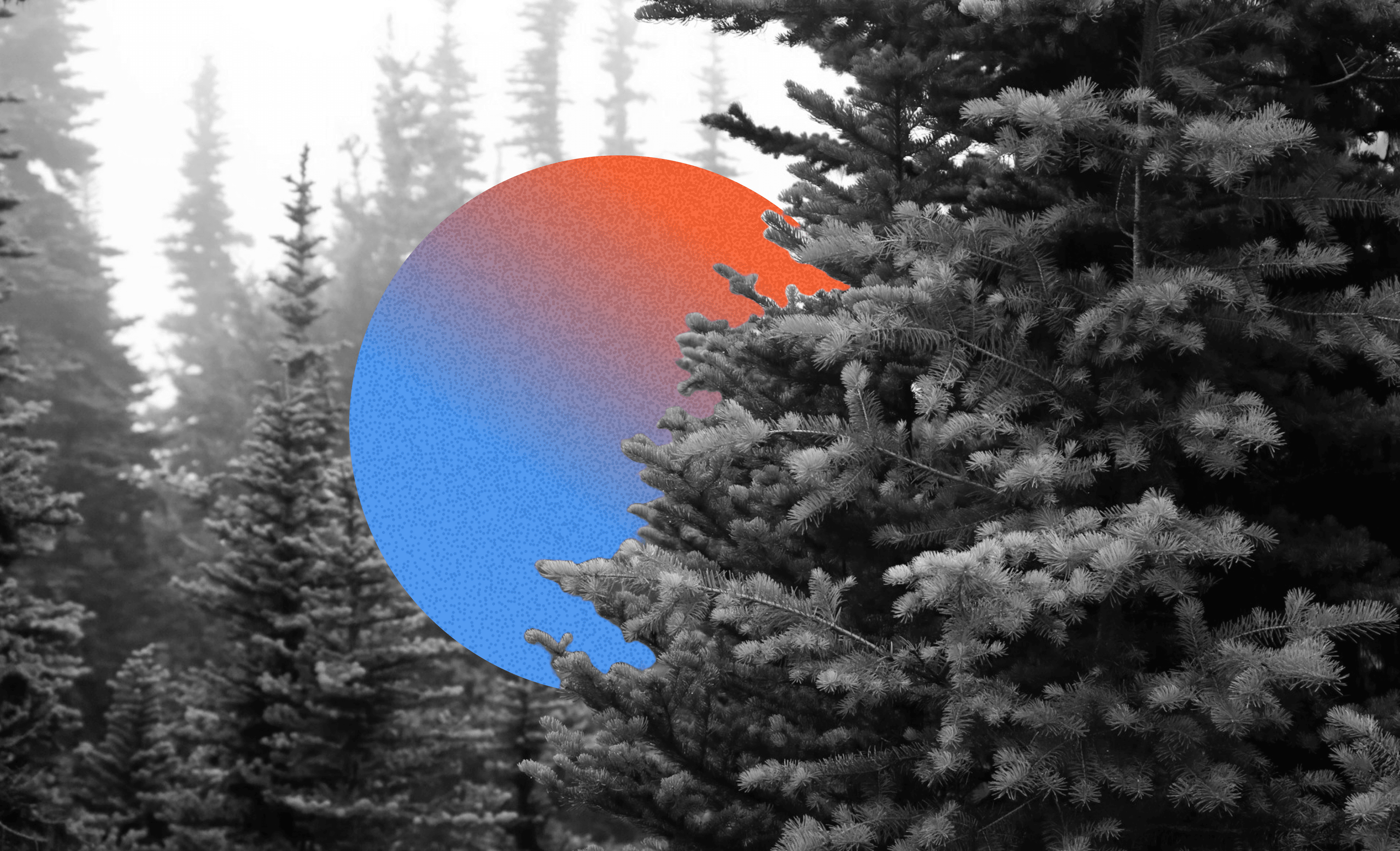 The Ultimate Guide to Crafting Evergreen Content